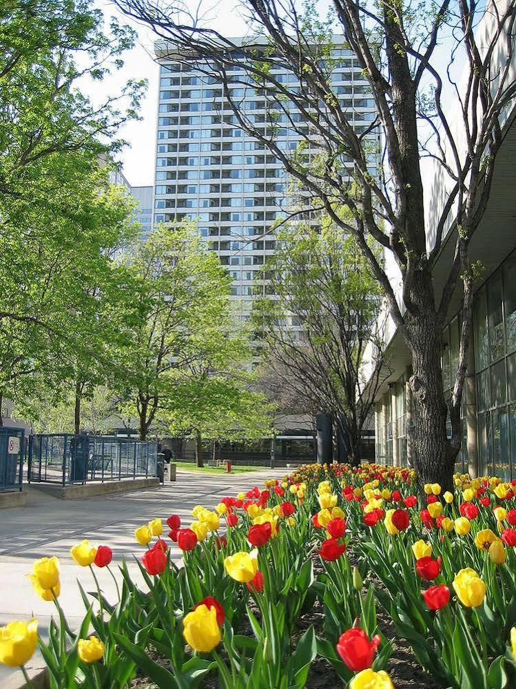 Chestnut Residence And Conference Centre - University Of Торонто Екстериор снимка
